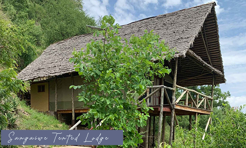 Sangaiwe Tented Lodge - Tanzania Adventures Group